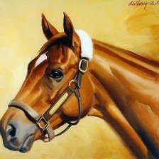 красавица лошадь