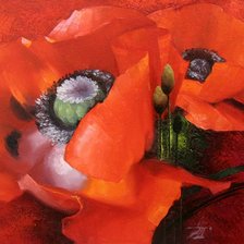 Схема вышивки «маки»