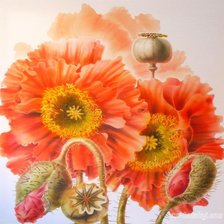 Схема вышивки «маки»