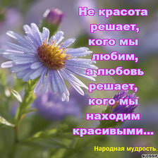 Схема вышивки «Народная мудрость»