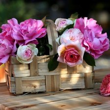 Схема вышивки «Романтика.»