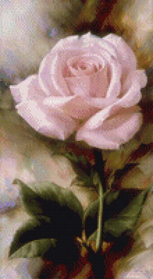 роза - цветы - предпросмотр