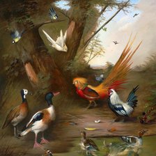 Схема вышивки «фазан золотой»