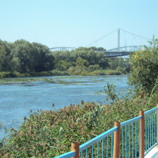 Схема вышивки «№920298»