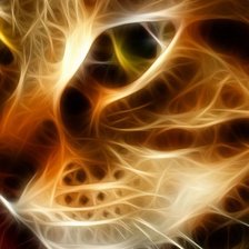 Схема вышивки «кошка огонь»