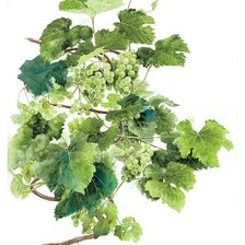 Схема вышивки «№920505»