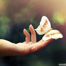 Схема вышивки «бабочка»