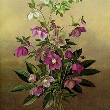 Схема вышивки «букет»