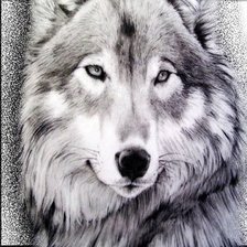 Схема вышивки «Волки»