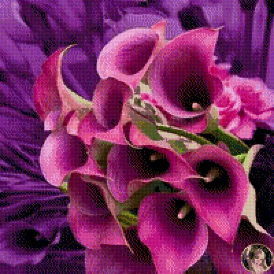 Calas de color - предпросмотр