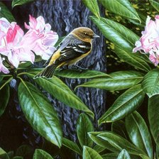 Схема вышивки «№921487»