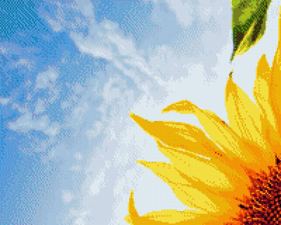 Соняшник - предпросмотр