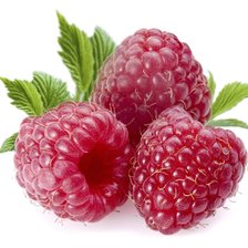 Схема вышивки «Малинка»