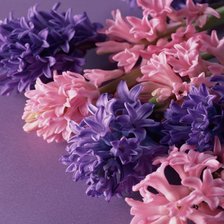 Схема вышивки «цветочки»