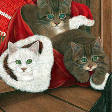 Схема вышивки «красавчики»