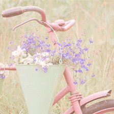 Схема вышивки «№921839»