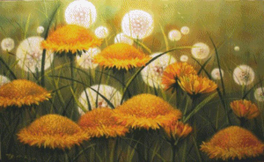 цветы - цветы, полевые цветы, одуванчики, природа - предпросмотр