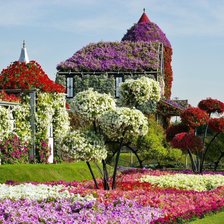 дом в цветах