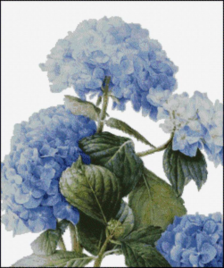 №922148 - предпросмотр