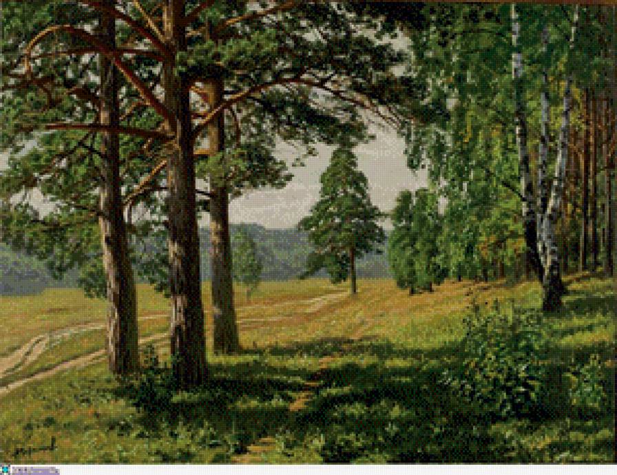 Сосновый лес - природа, лето, пейзажи - предпросмотр