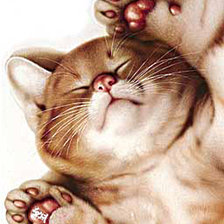 Схема вышивки «№922395»