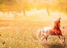 Схема вышивки «№922776»