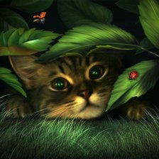 Схема вышивки «Котенок»