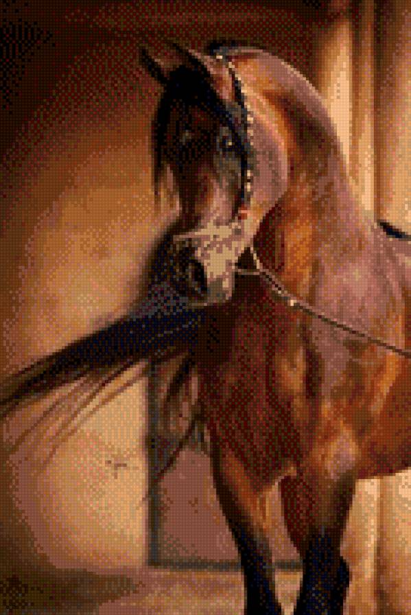 Лошадь - красавица, животное, лошадь, грива - предпросмотр