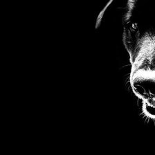 Схема вышивки «Бобби»