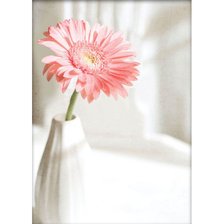 Схема вышивки «гербера»