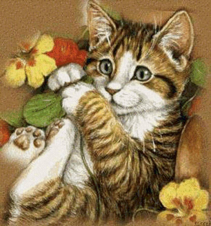 Серия "Домашние любимцы" - кот, цветы, животные, котик, игрушки - предпросмотр