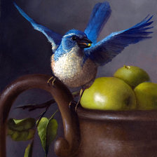 Схема вышивки «птицы»