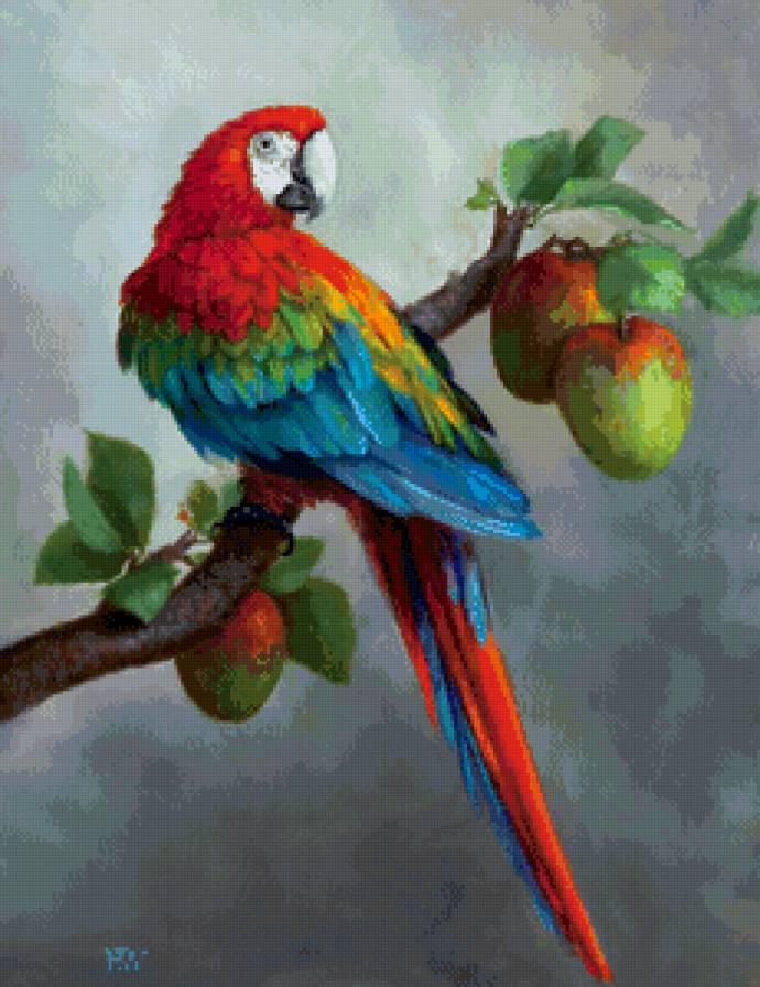 попугай - предпросмотр