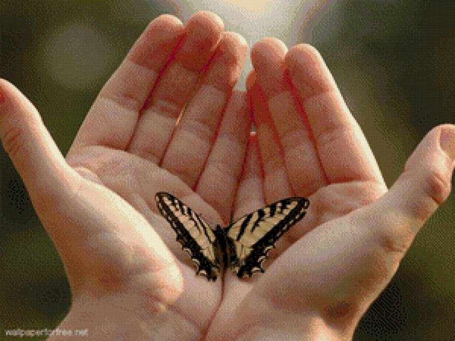 серия "бабочки" - руки.бабочка - предпросмотр