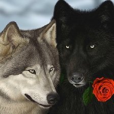 Схема вышивки «Волки»