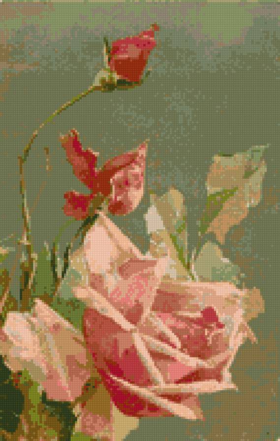 роза2 - роза - предпросмотр