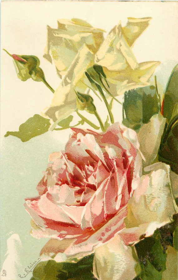 роза3 - роза - оригинал