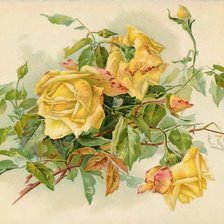 Схема вышивки «роза4»