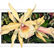 Схема вышивки «цветы»