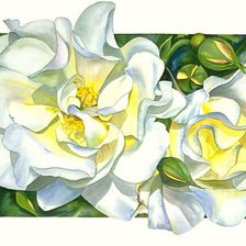 Схема вышивки «цветы»