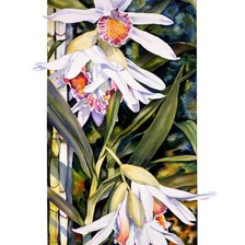 Схема вышивки «цветы»