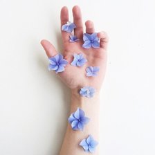 Схема вышивки «Нежность»