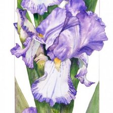 Схема вышивки «цветы»