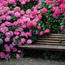 Схема вышивки «Сад гортензий»