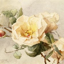 Схема вышивки «цветы»