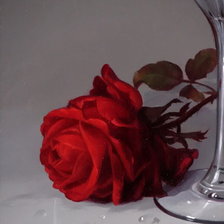 Схема вышивки «цветы»