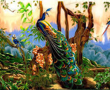 Схема вышивки «павлин»