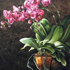 Схема вышивки «Орхидея»