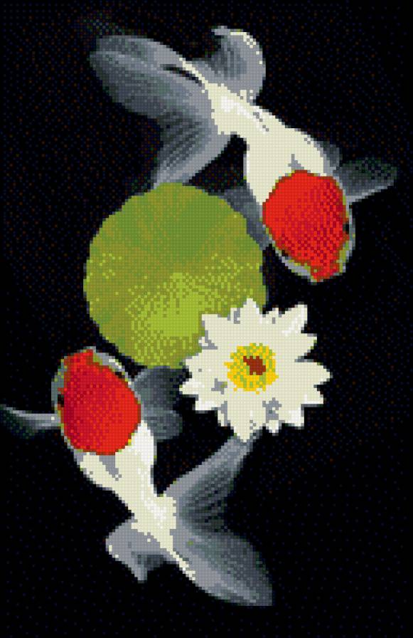 рыбы - предпросмотр