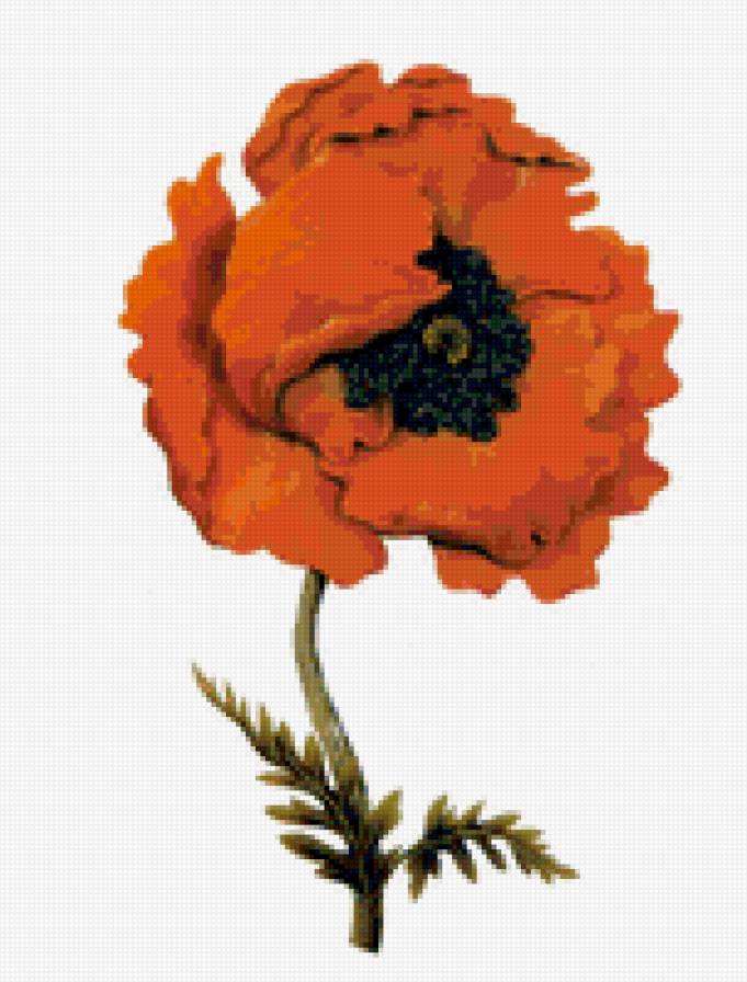 №923917 - предпросмотр